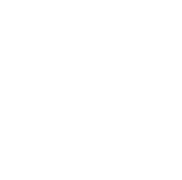 Nokod Security Logo